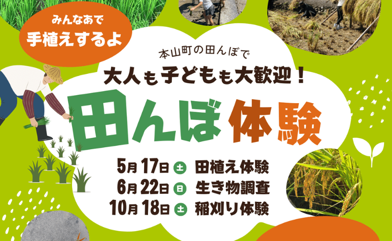 【本山町】田んぼ体験｜田植えから稲刈りまで★全3回